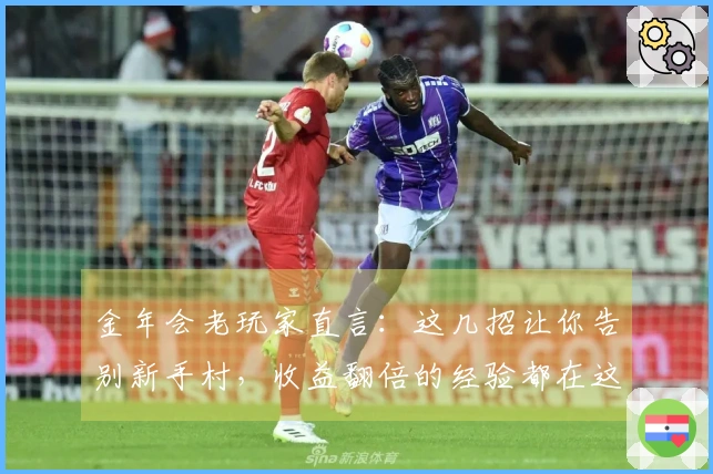 金年会老玩家直言：这几招让你告别新手村，收益翻倍的经验都在这儿